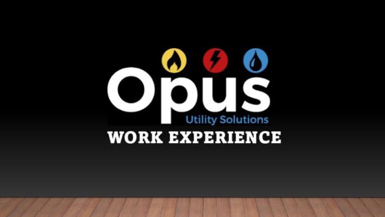 Work Experience with Opus